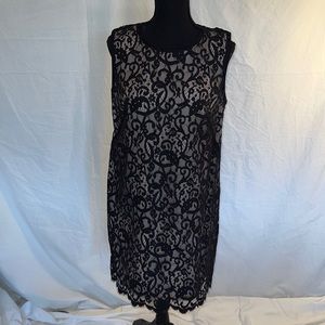 AnnTaylor Loft Black and Beige  Dress Size 10